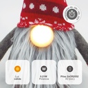 Gnomo de navidad LED sentado Hagin 36cm 2xCR2032 Rojo y gris
