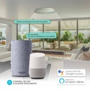 Plafón techo Paris con altavoz 24W RGB 3000-6500K regulable