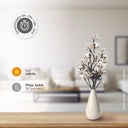 Rama decorativa LED de flores de algodón y bayas blancas 0,55M Luz cálida