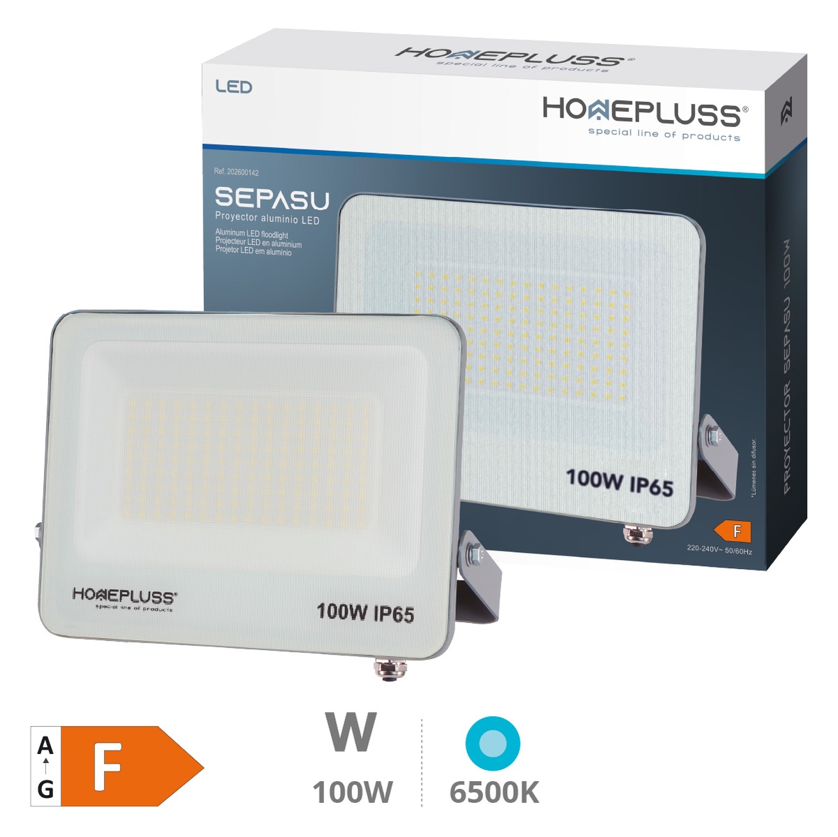 Proyector aluminio LED Sepasu 100W 6500K IP65 Gris